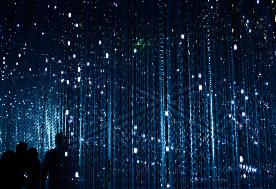 Value Creation Happens Through Data, Not Intuition