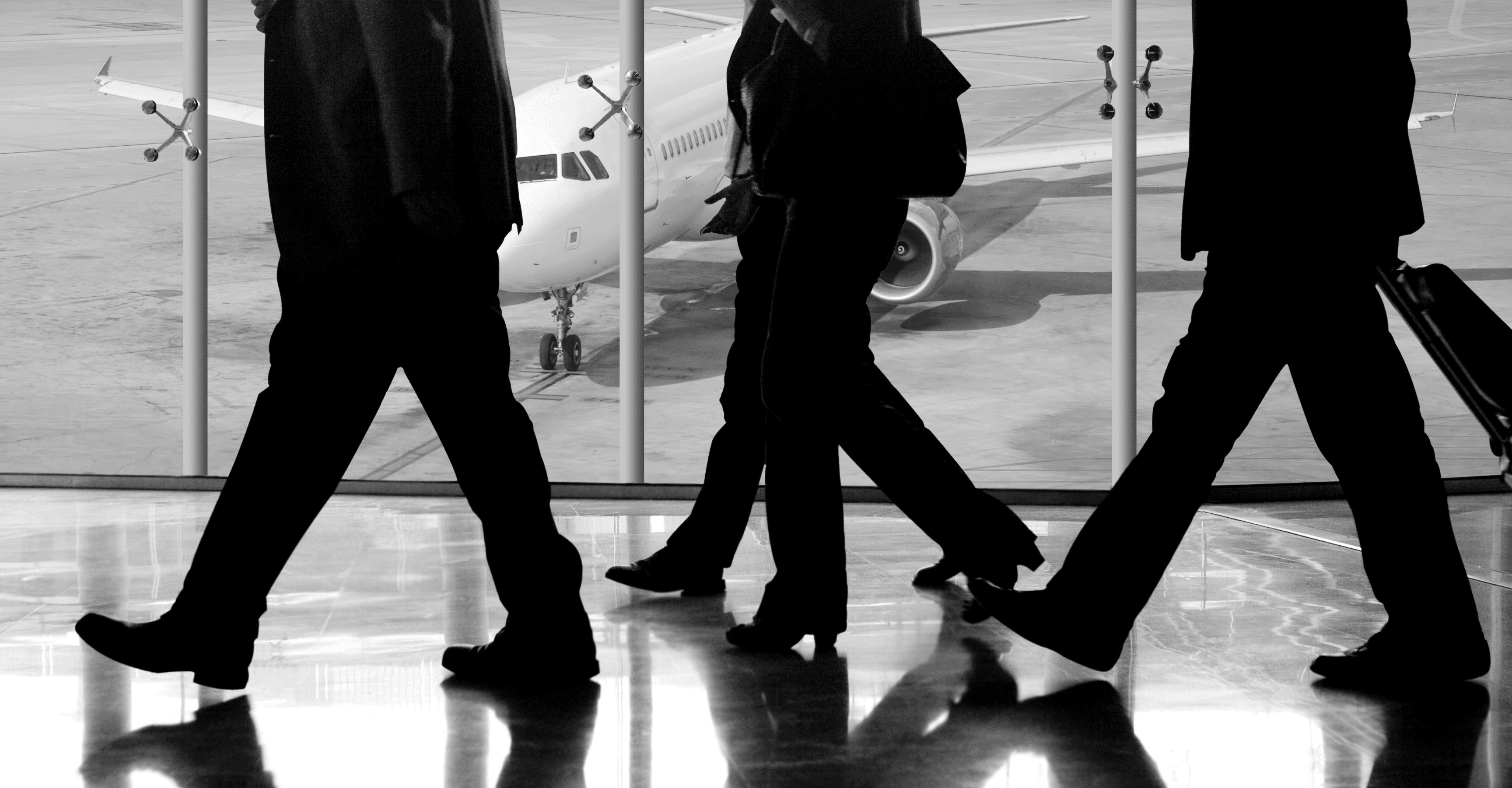 세무 & 국제조세